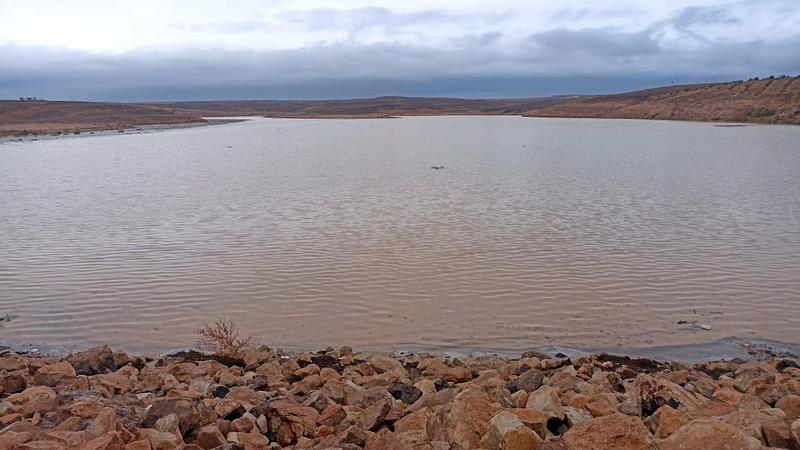 مختصون: امتلاء السدود فرصة مائية وزراعية واعدة
