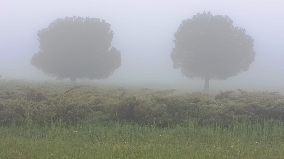 امطار تضرب البلقاء وجرش وتحذيرات من تدني الرؤية