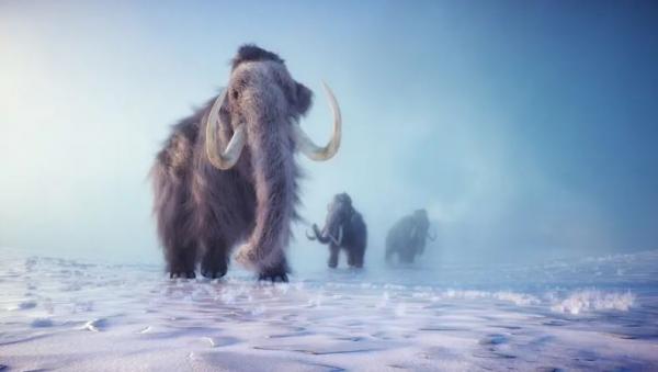 عد 70 عاماً في المتحف .. عظام ماموث تكشف مفاجأة غير متوقعة