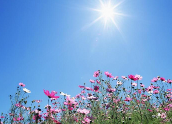 ارتفاع ملموس ودرجات حرارة أعلى من معدلاتها الجمعة