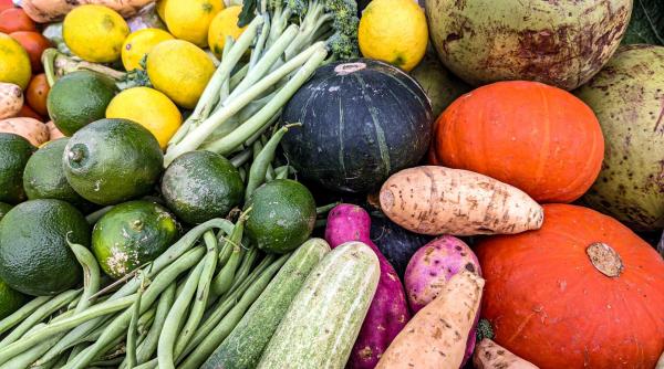 أسعار الخضار والفواكه في السوق المركزي الخميس