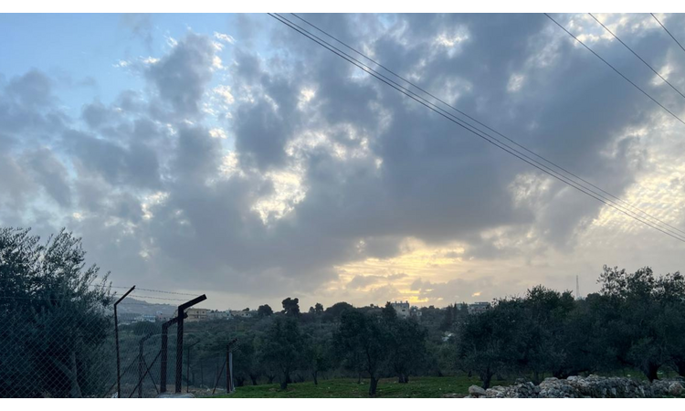 انتهاء أربعينية الشتاء وبداية الخمسينية نهاية الشهر .. ما قصة السعود؟