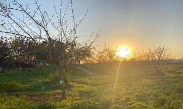 أجواء دافئة ودرجات حرارة أعلى من معدلاتها في مختلف المناطق