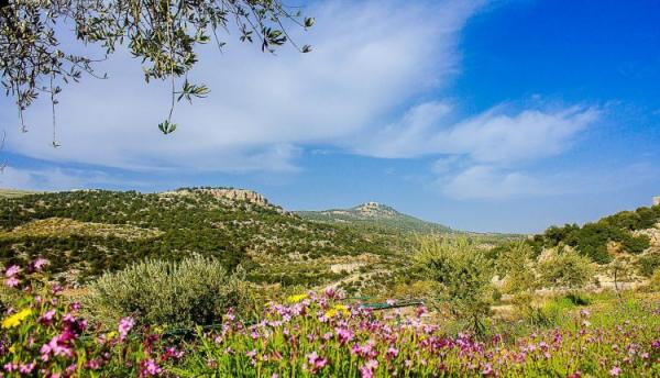 الأرصاد: شباط الحالي سيشهد درجات حرارة أعلى من معدلاتها