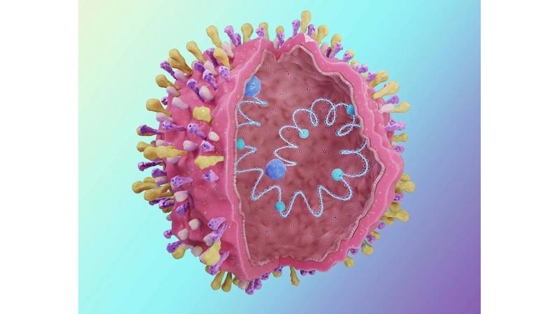 الفيروس التنفسي المخلوي.. المخاطر والمضاعفات