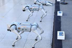 لتعزيز الأمن خلال مونديال 2026.. المكسيك تستعين بـ كلاب روبوتية