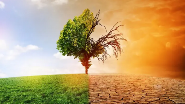 موجة حر دائمة خطيرة على البشر .. والخبراء: الأرض تتحول لبيت زجاجي ساخن