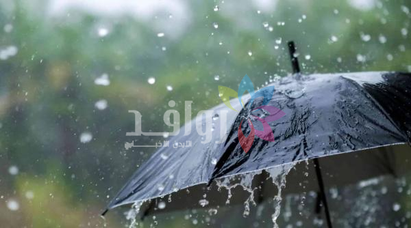 أمطار متفرقة وأجواء باردة الثلاثاء شمال ووسط المملكة