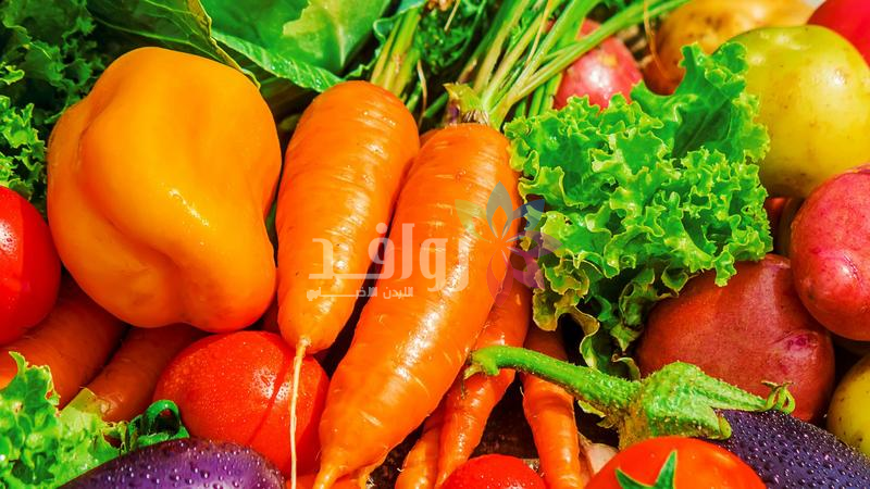 أسعار الخضار في السوق المركزي الثلاثاء