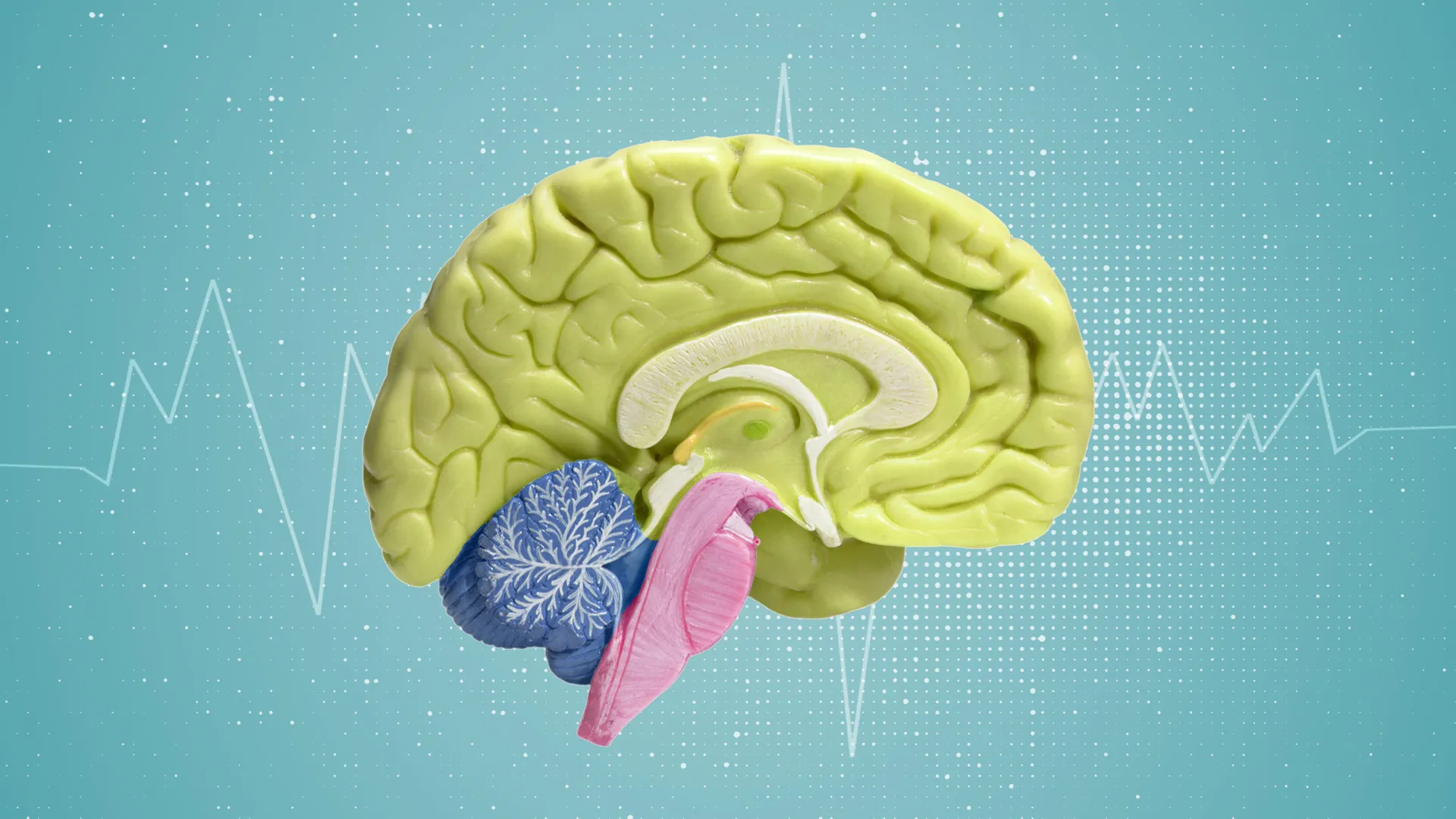 احذر صداع ما بعد السقوط.. طبيب يكشف علامات الخطر ومتى تطلب الطوارئ