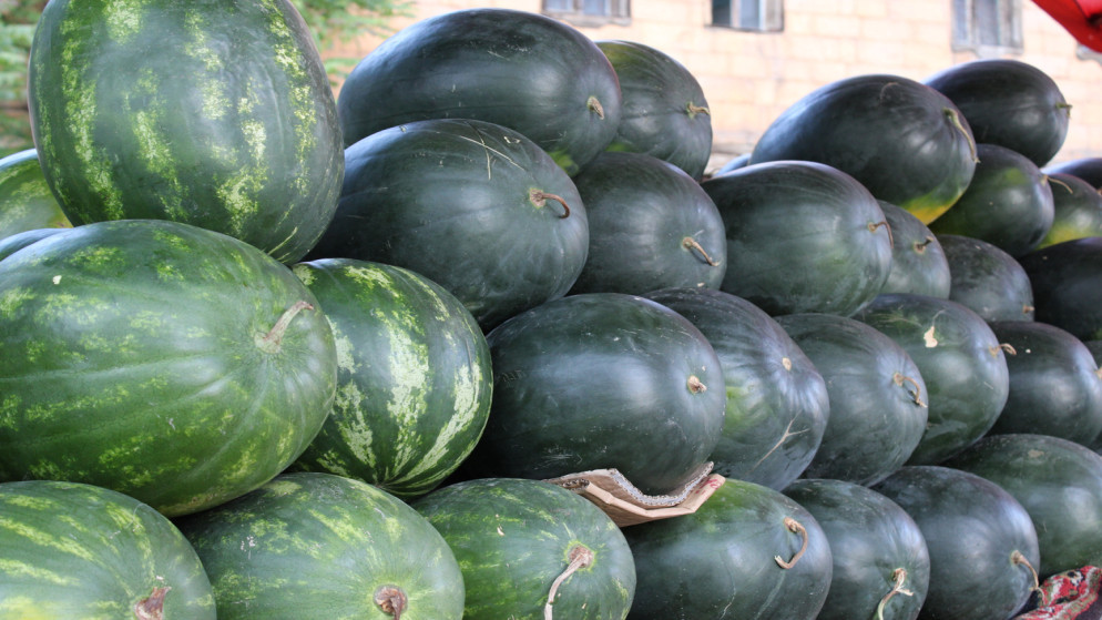 امانة عمان تطلق استقبال طلبات تراخيص بيع البطيخ والشمام