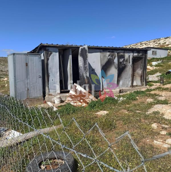 الرئاسة الفلسطينية تطالب بتدخل دولي لوقف جرائم المستوطنين بالضفة