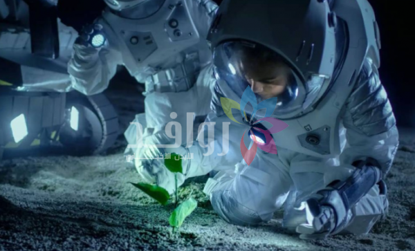 لأول مرة في التاريخ .. زراعة الحمص في تربة القمر