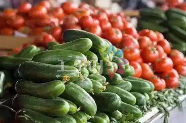 وزارة الزراعة تعلق تصدير البندورة والخيار براً لمدة 10 أيام
