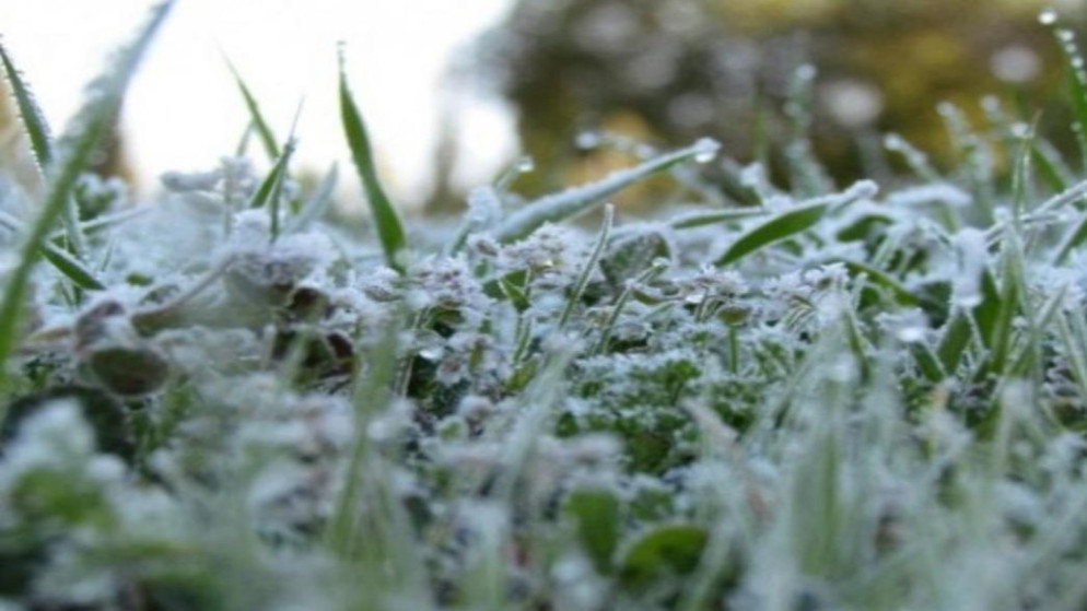 تحذيرات من الصقيع والضباب: طقس شديد البرودة يضرب المملكة