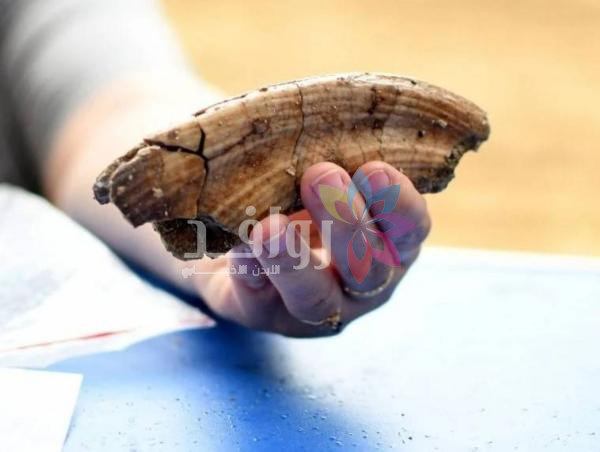 سر مدفون في وادي الأردن .. الأرض تكشف عن أول رحلة للبشر خارج أفريقيا