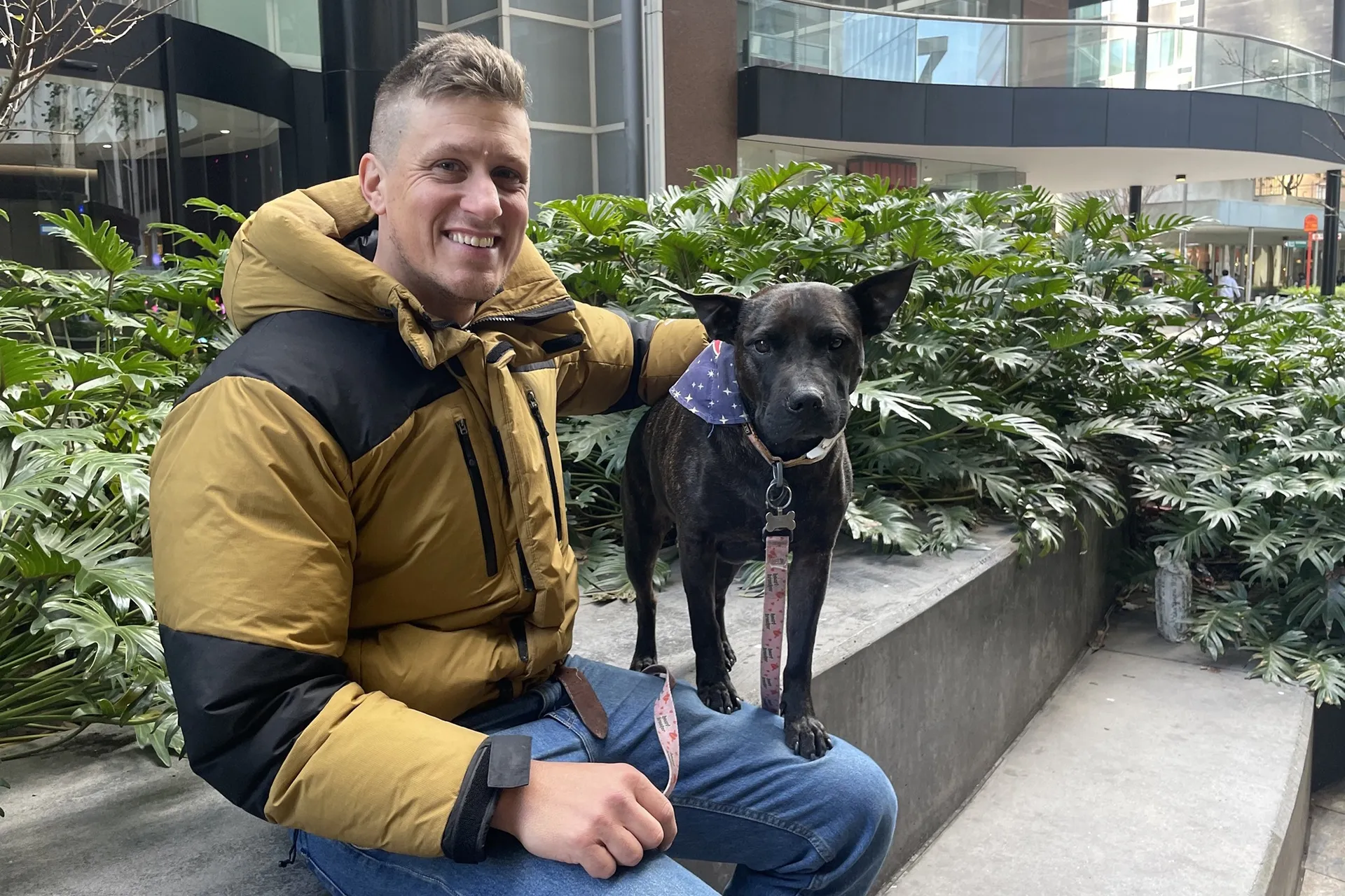 شات جي بي تي ينقذ حياة كلبة من السرطان بتقنية اللقاح الرقمي