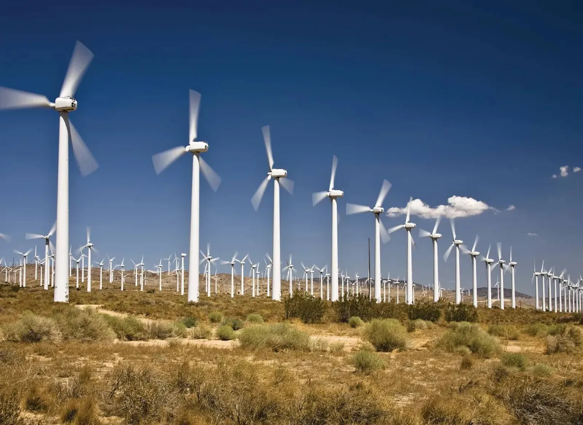 واشنطن تدرس تسوية بمليار دولار مع توتال مقابل التخلي عن مزارع رياح