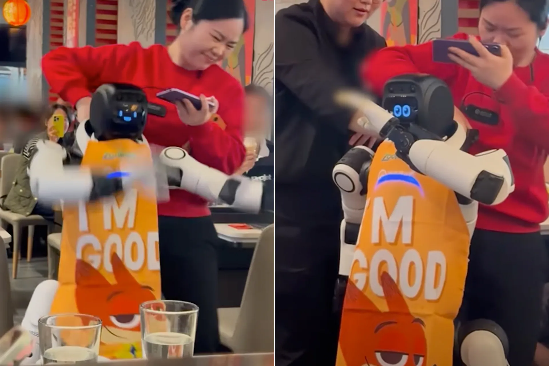 روبوت يثير الفوضى في مطعم بكاليفورنيا وتحطيم أواني
