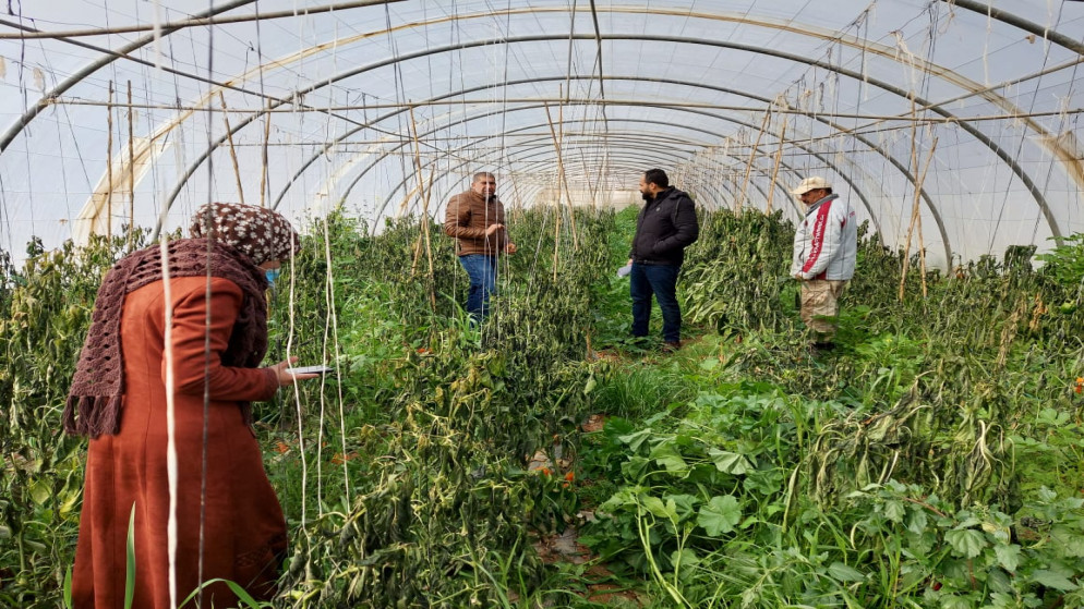 زراعة العقبة تحذر: أمطار غزيرة وسيول تستدعي الحذر