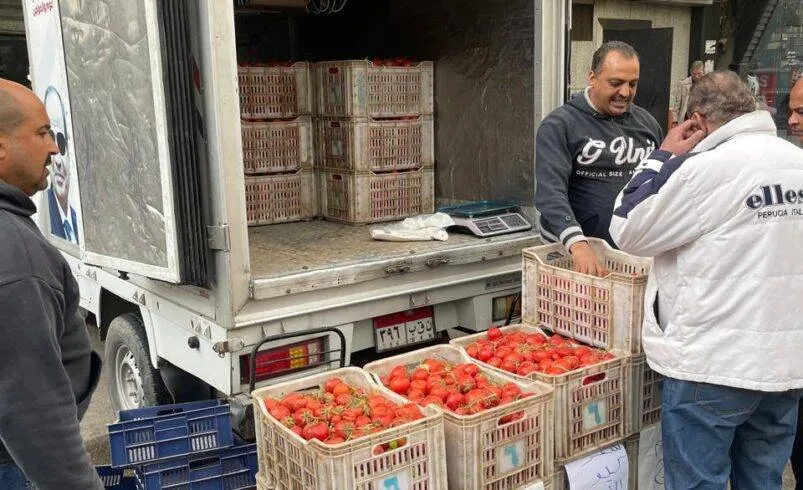 مصر تعزز الأمن الغذائي وسط مخاوف من اضطراب سلاسل الإمداد