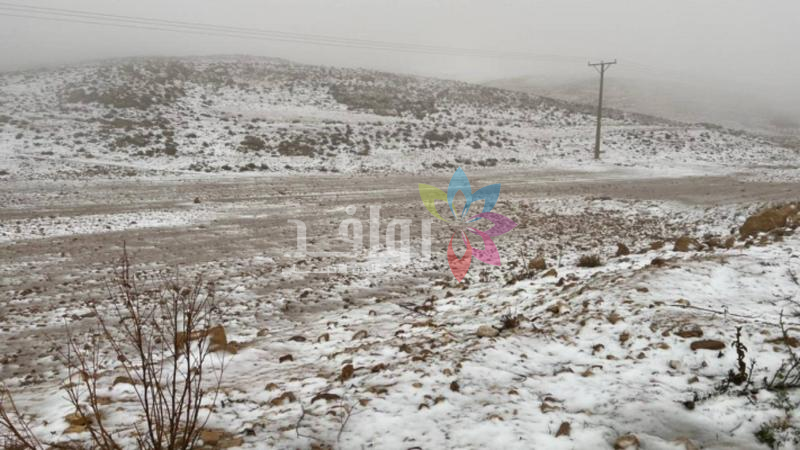 منطقة الهيشة بلواء الشوبك ترتدي الثوب الأبيض (فيديو)