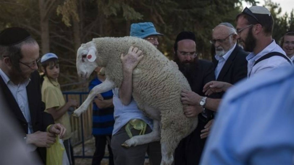 القدس تحذر من مخططات تهويد الاقصى عبر القرابين