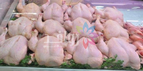 جمجوم: لا ارتفاع على أسعار الدواجن في الأردن