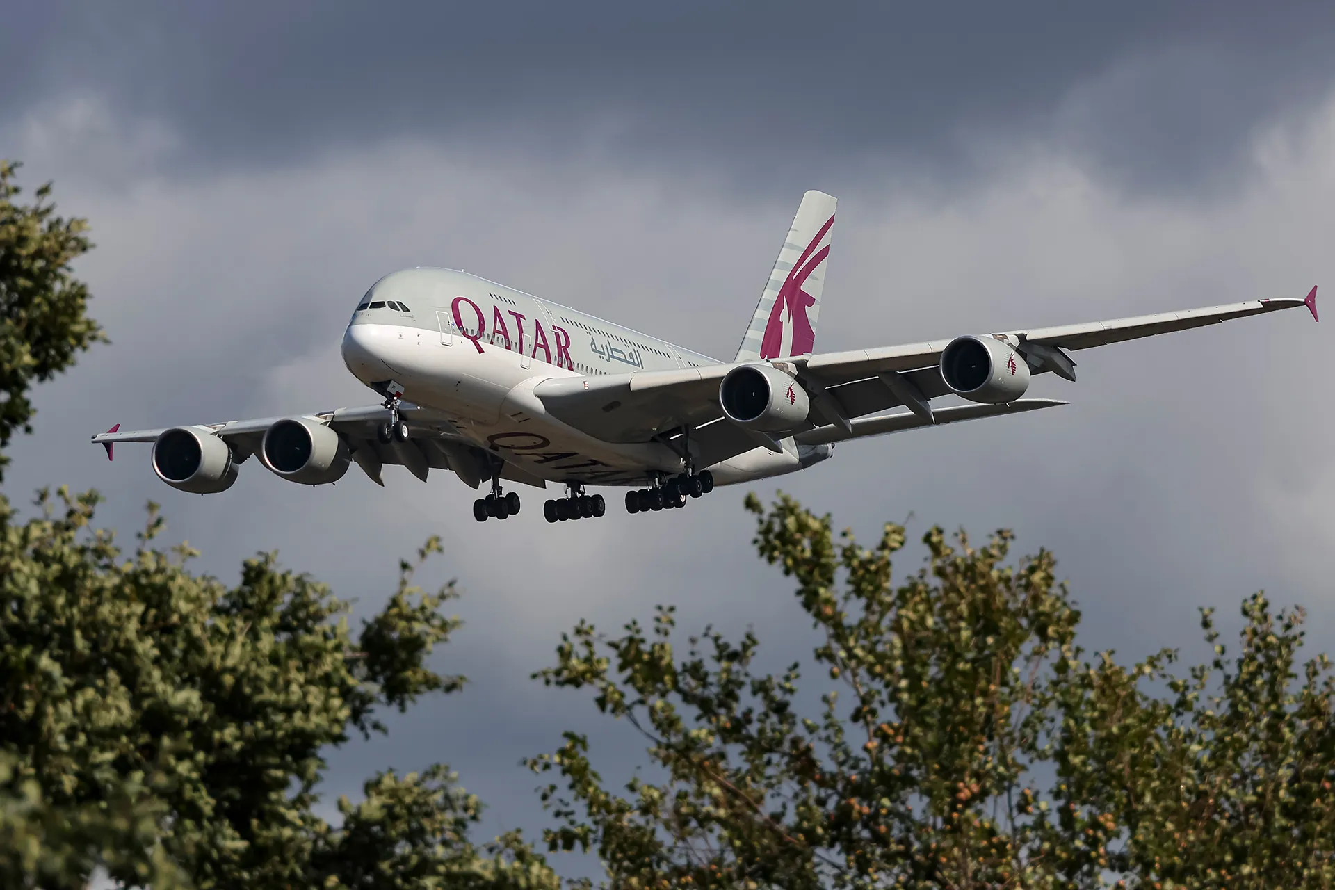 الخطوط القطرية تسجل قفزة في الرحلات الجوية مع استمرار التعافي