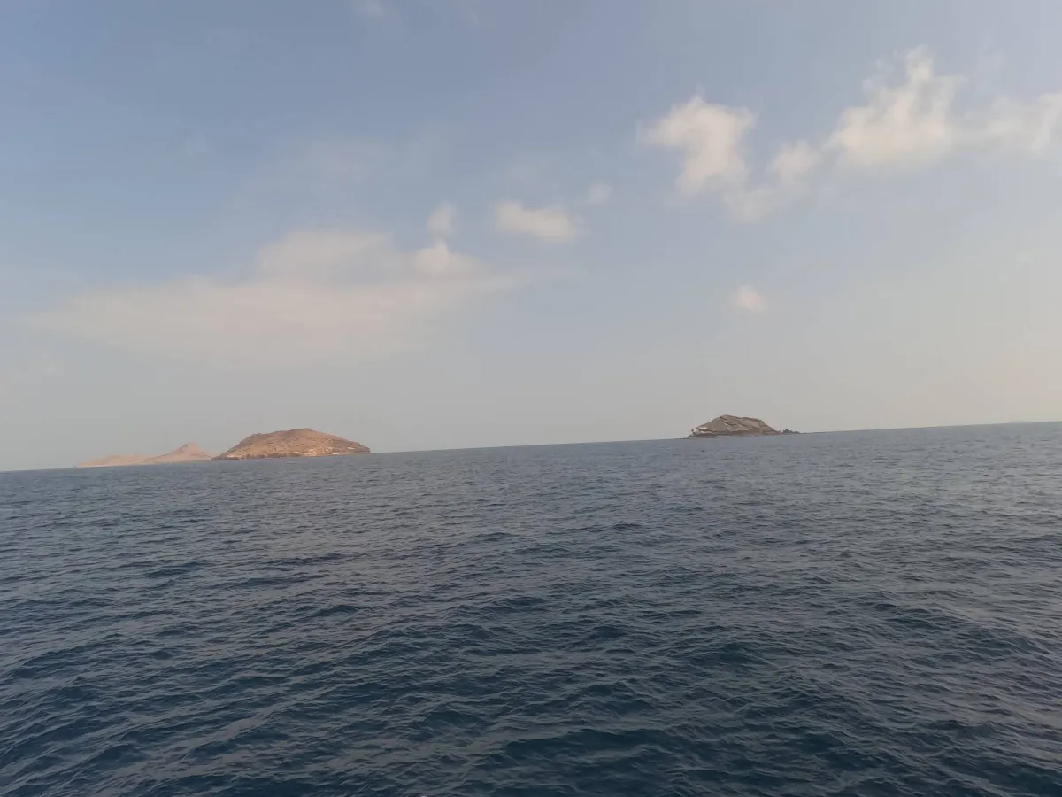 غموض طائرة ميون اليمنية نفي لمحاولة انزال وتضارب التصريحات