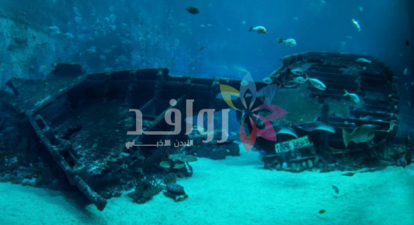 مقبرة سفن في أعماق البحر المتوسط تكشف أسرار 2000 عام