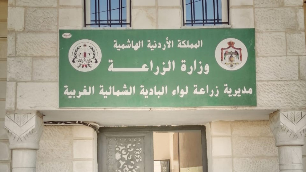 انتعاش الزراعة والمياه في البادية الشمالية الغربية بفضل الموسم المطري