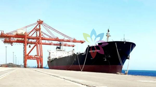 الأردن يستورد مليوني برميل نفط من السعودية عبر ميناء ينبع