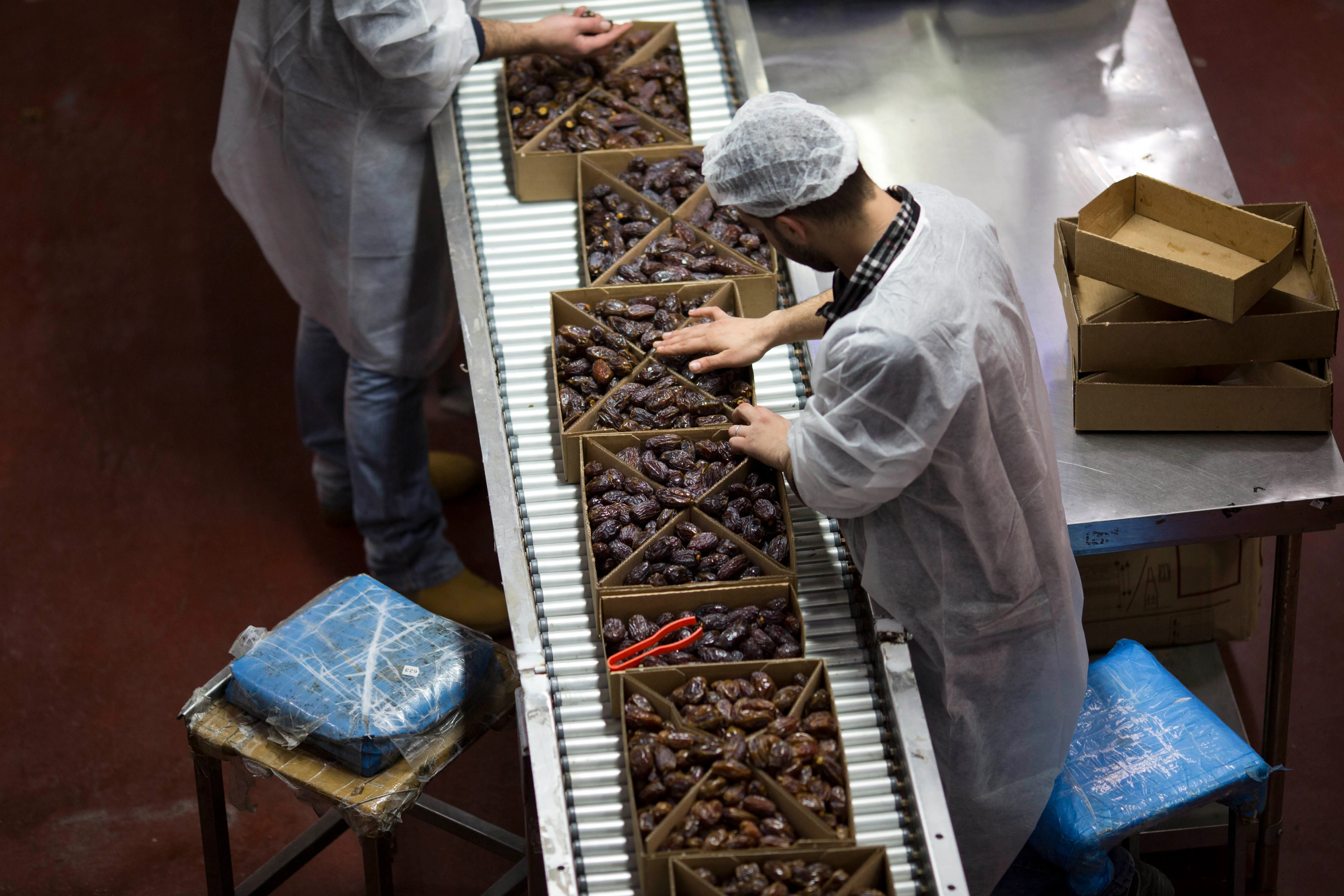 الحرب تضرب الصادرات الزراعية وتكبد المزارعين خسائر فادحة