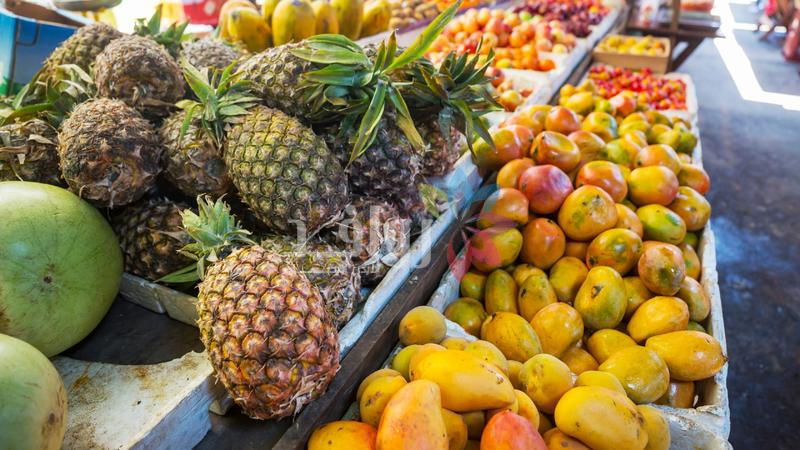 2910 أطنان من الخضار ترد السوق المركزي اليوم السبت