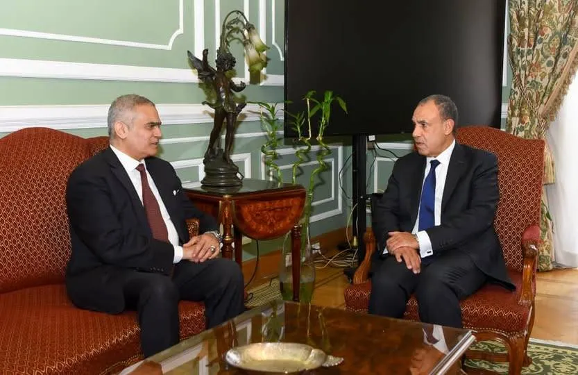 مصر تدعو لتوفير مسارات هجرة نظامية بالتعاون مع الشركاء الدوليين