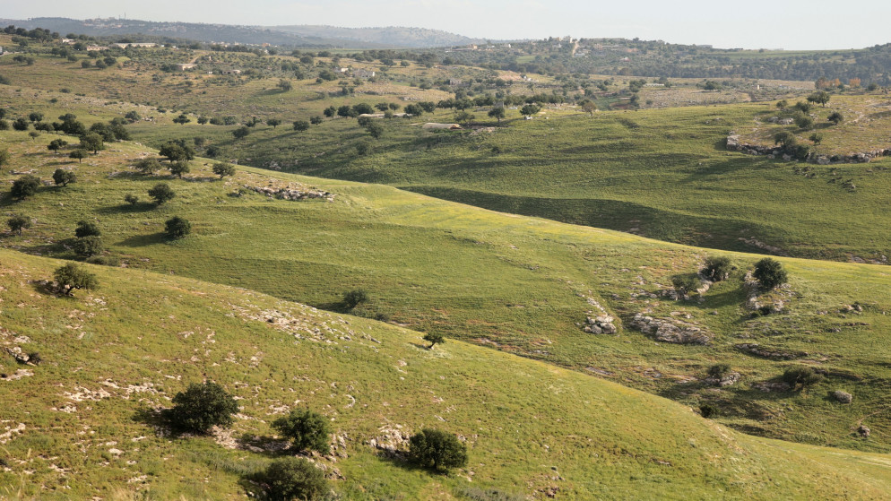الطقس في الاردن: ارتفاع متوقع في درجات الحرارة بدءا من الاثنين
