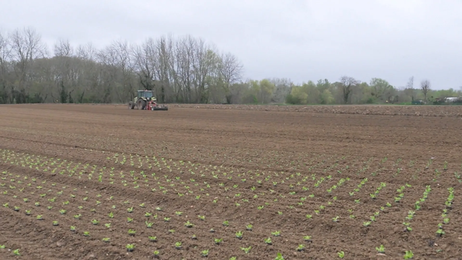 الحرب في الشرق الاوسط تزيد الضغوط على قطاعات الانتاج في فرنسا