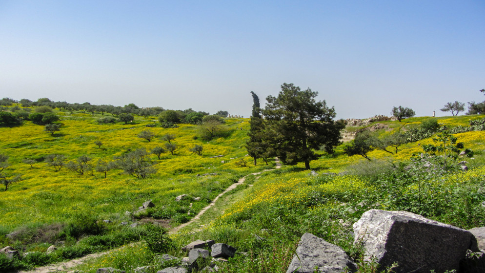 ارتفاع الحرارة وأجواء ربيعية معتدلة في معظم مناطق المملكة