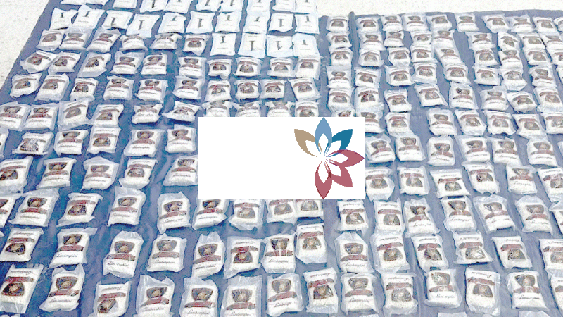 الجيش يُحبط 6 محاولات تـهـريب كمـيـات مخدرات