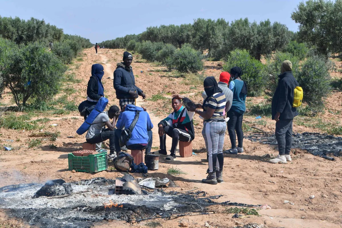 نائب تونسي يثير غضبا بتصريحات حول المهاجرات الافريقيات