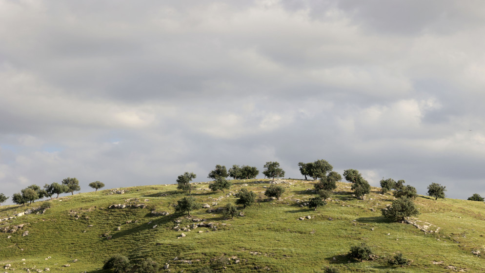 طقس الاردن: ارتفاع الحرارة الجمعة مع توقعات بامطار غزيرة وسيول