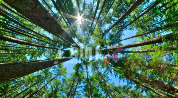 أفريقيا تفاجئ العالم بظاهرة لم يتوقعها أحد