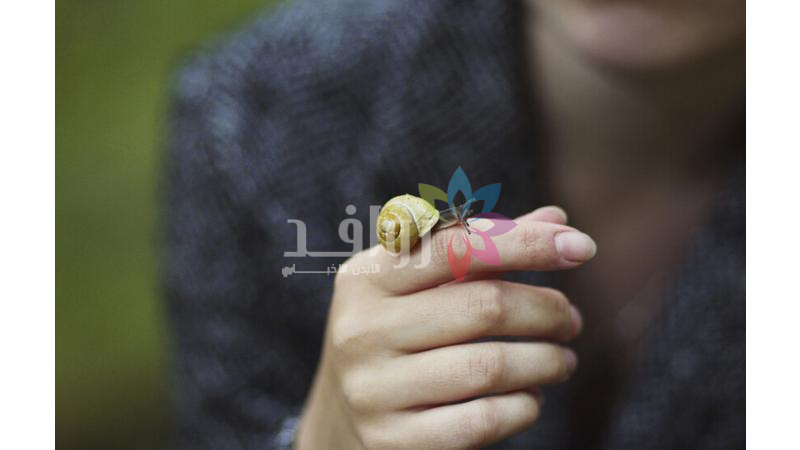 اختراق علمي جديد.. روبوتات ذكية توصل أدوية السرطان مباشرة إلى الورم