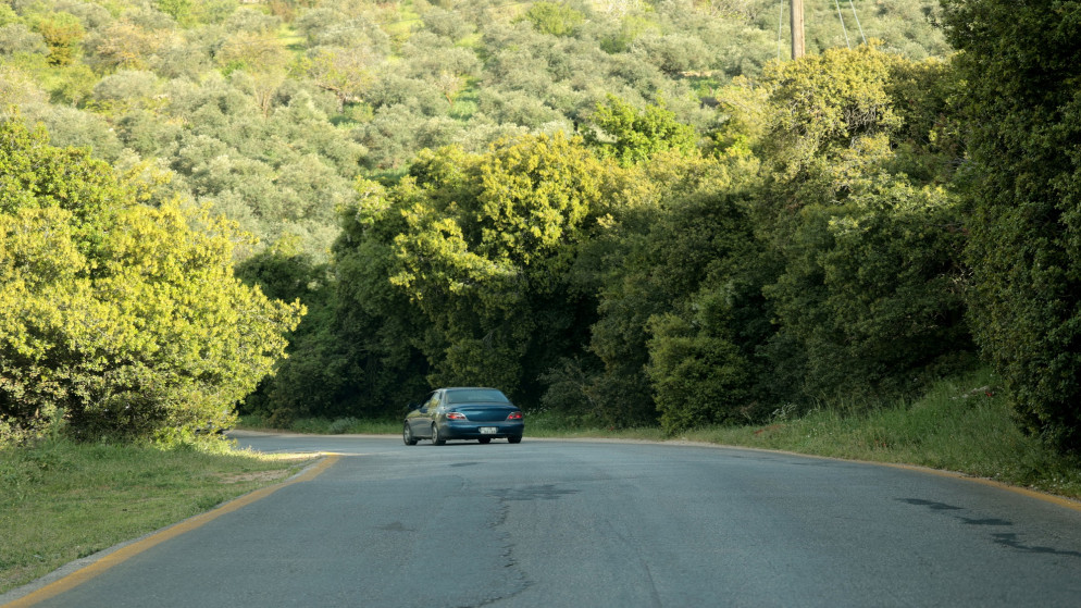 ارتفاع طفيف على الحرارة في الاردن مع اجواء دافئة حتى الاحد