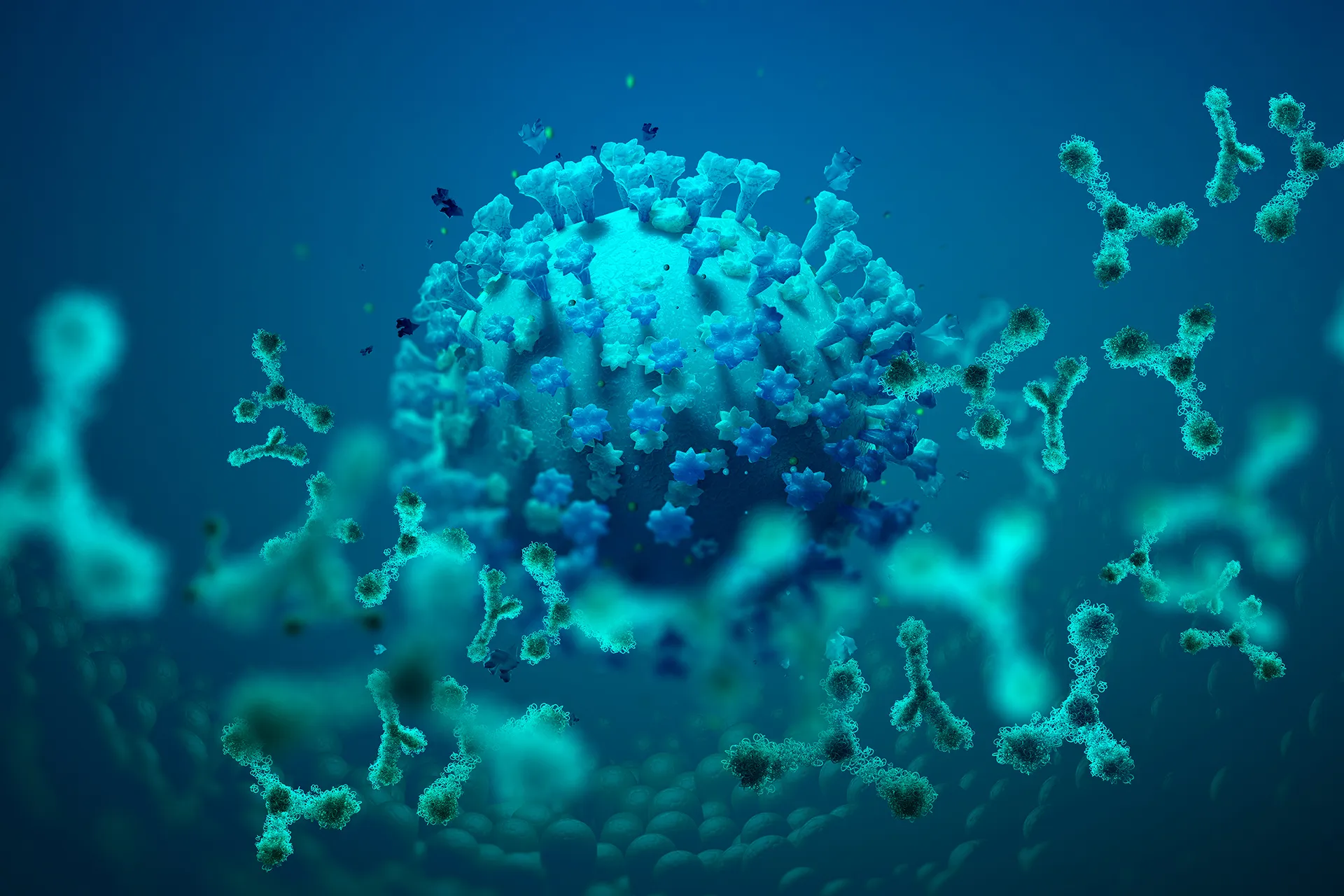 اكتشاف علمي يكشف العلاقة بين امراض المناعة وسرطان الغدد الليمفاوية