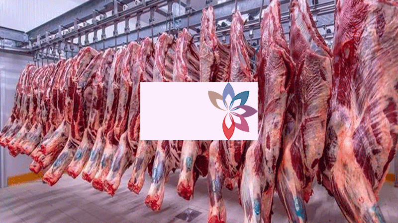 قرارات حكومية مباشرة لضبـط أسعـار اللحــوم