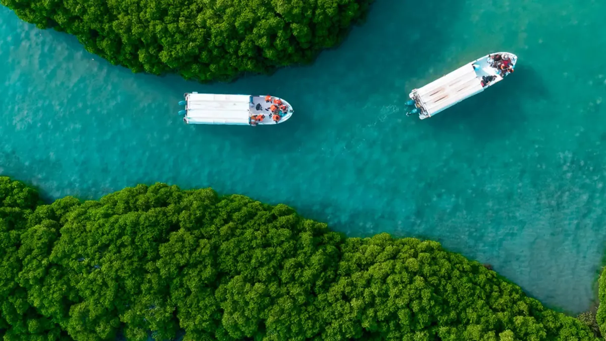 السياحة السعودية تحقق قفزة تاريخية وتتجاوز مستهدفات رؤية 2030