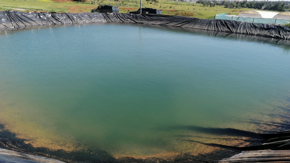 زراعة الاغوار الشمالية تشدد على تسييج البرك الزراعية للوقاية من الغرق