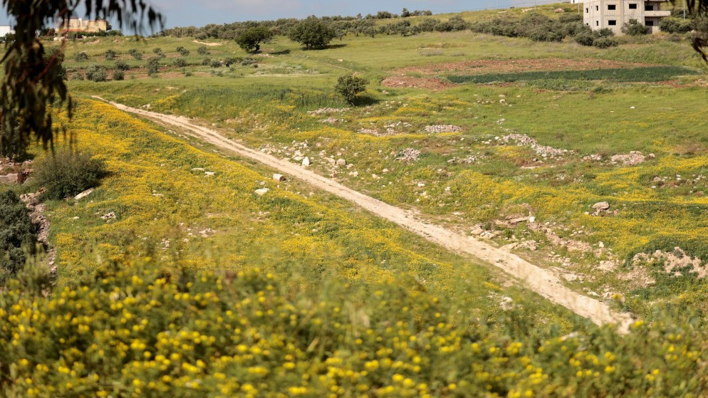 طقس دافئ ومشمس يسيطر على المملكة وارتفاع طفيف بدرجات الحرارة